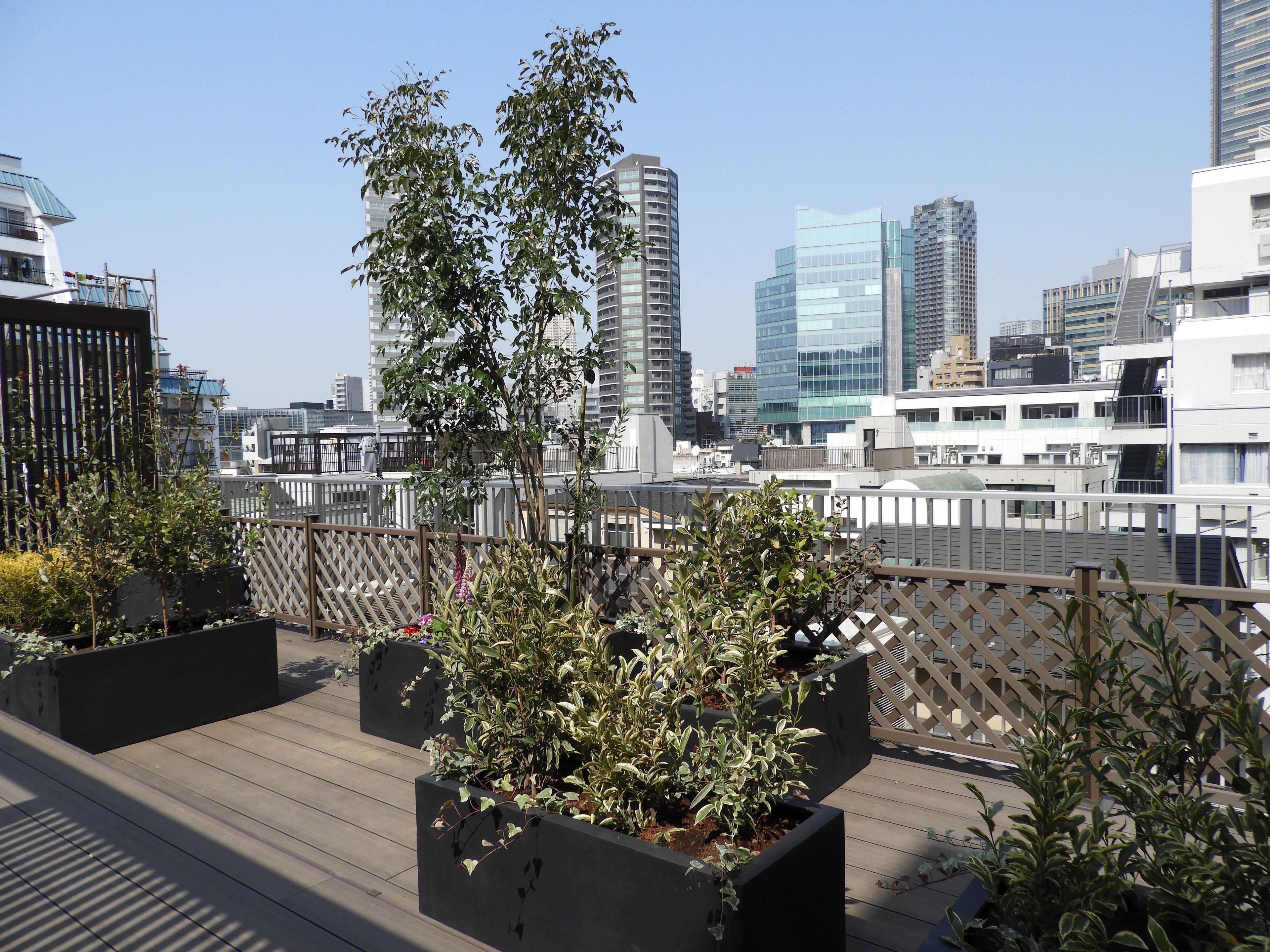 Act Hotel Roppongi — Fotos 3